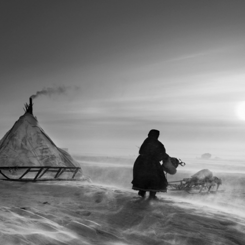 Penisola di Yamal, Siberia, 2011 © Sebastião Salgado/Amazonas Images/Contrasto 